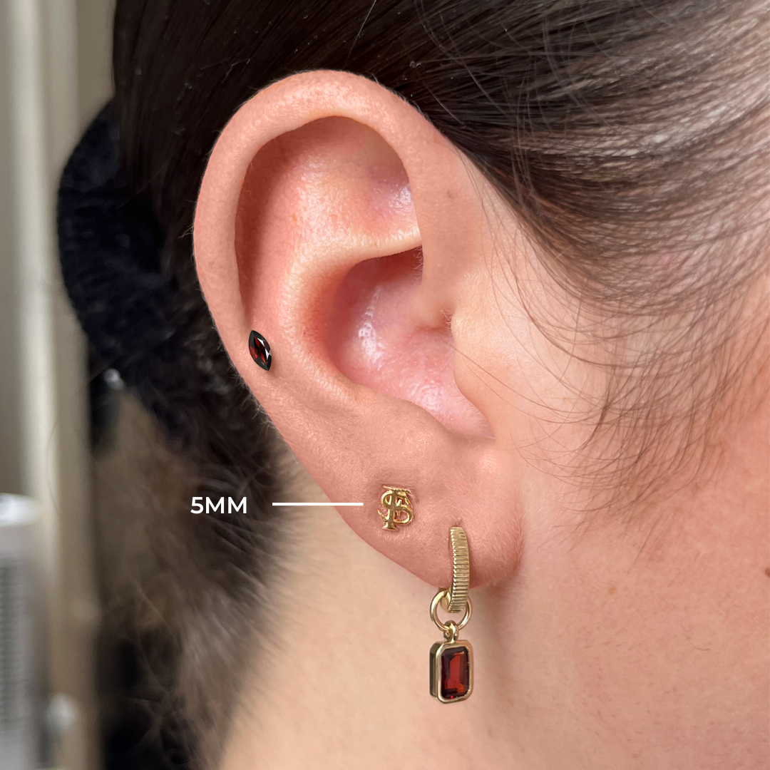 FSU Stud Earrings