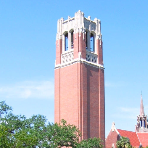 Florida Century Tower Pendant