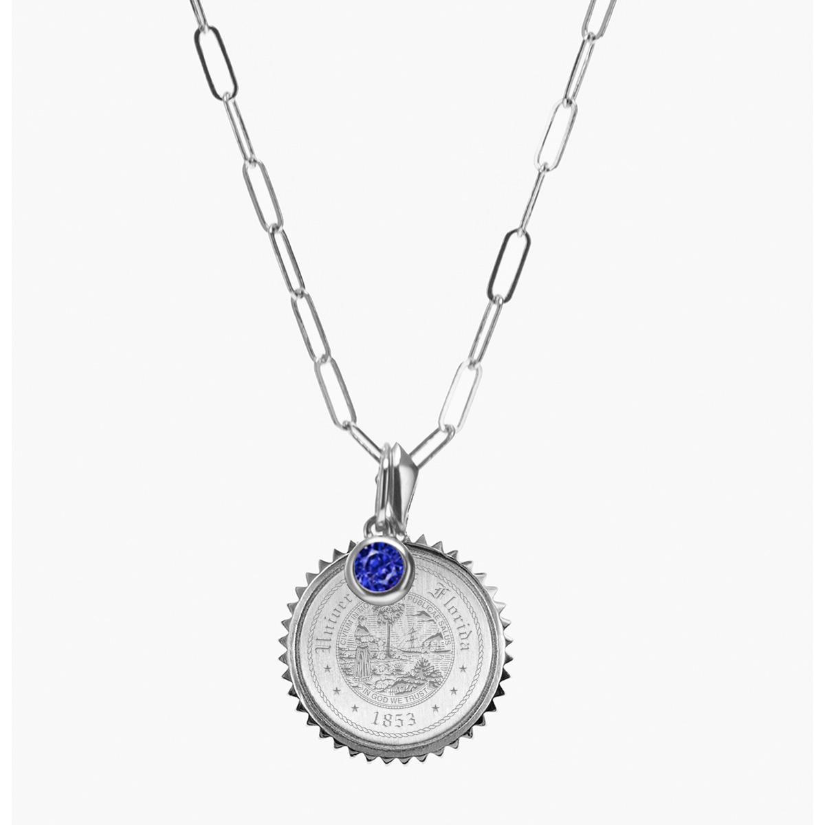 Florida Seal Sunburst Bundle