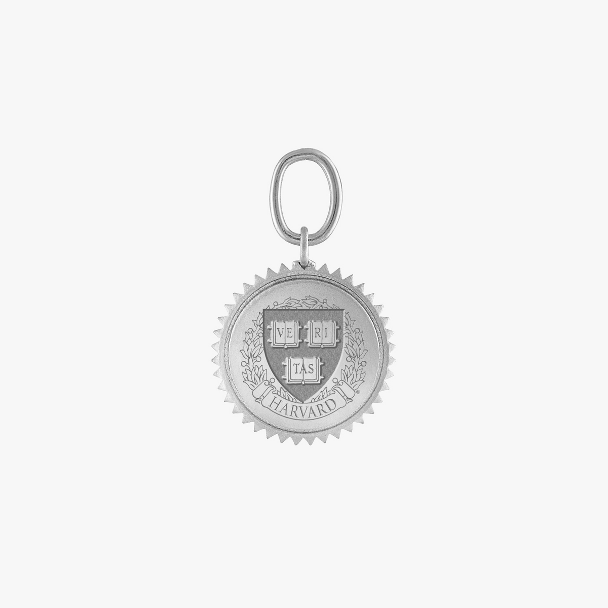 Harvard Sunburst Charm