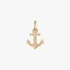 Delta Gamma Anchor Charm