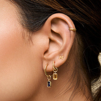 Michigan Signature Bundle