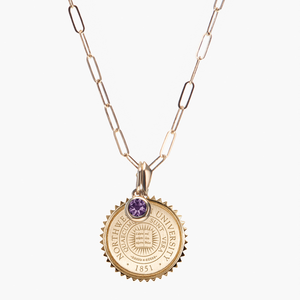 Northwestern Sunburst Bundle