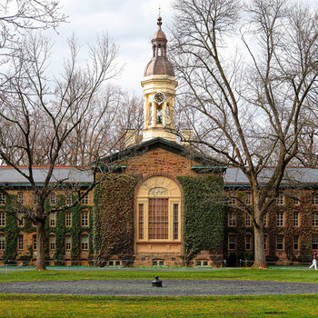 Princeton Nassau Hall Lapel Pin