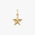 Star Charm
