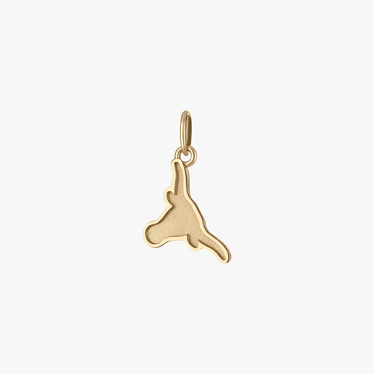 UT Longhorn Charm