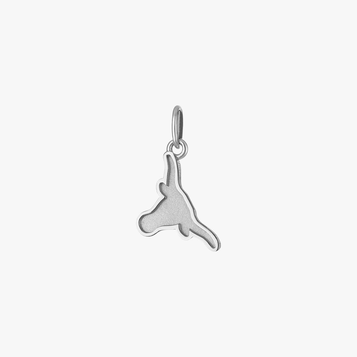 UT Longhorn Charm