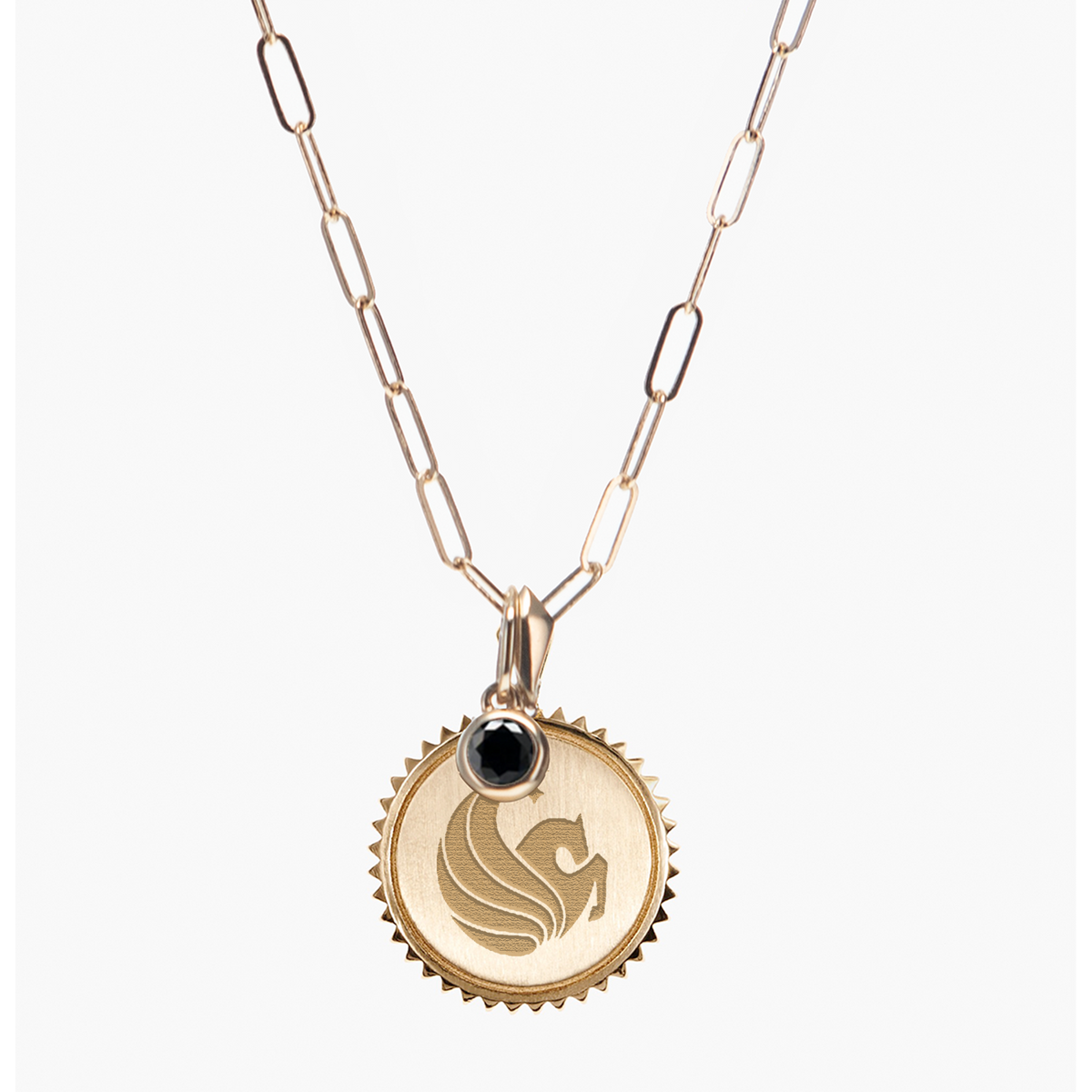 UCF Pegasus Sunburst Bundle