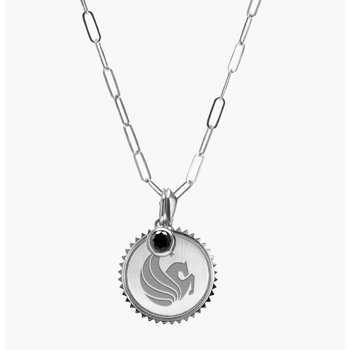 UCF Pegasus Sunburst Bundle