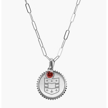 WashU Shield Sunburst Bundle