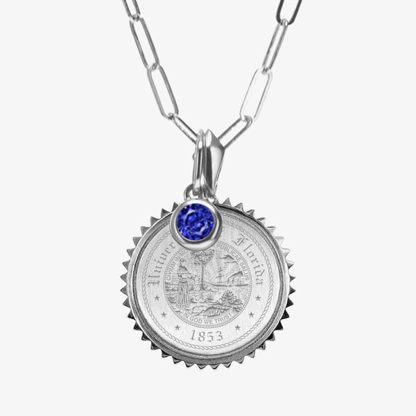 Florida Seal Sunburst Bundle