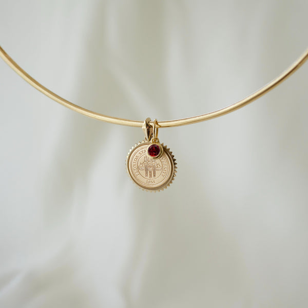 FSU Sunburst Bundle collar