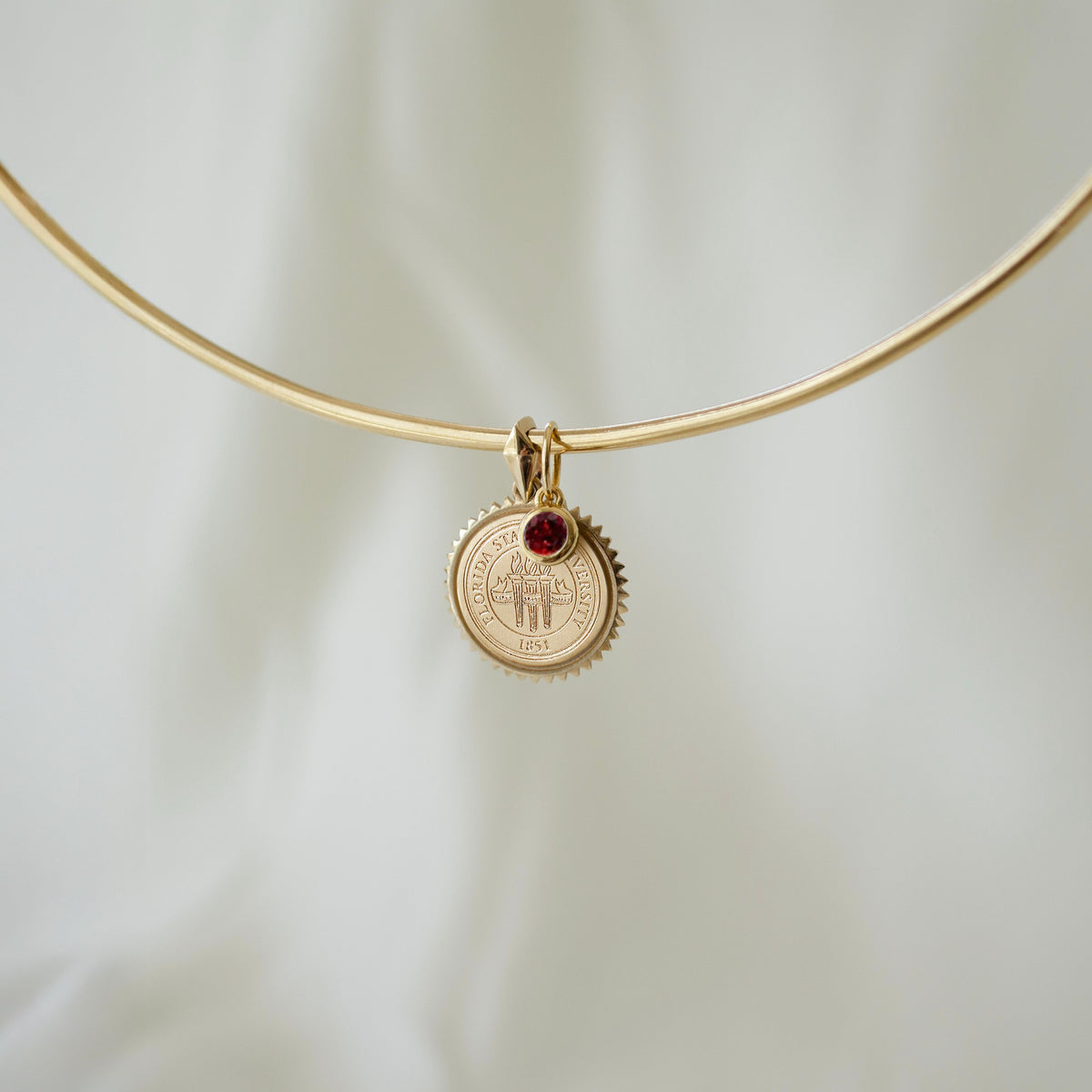 FSU Sunburst Bundle collar